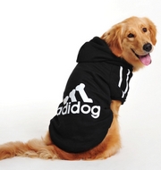 Sweet Adidog Grand chien Noir